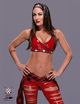 brie bella image