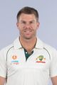 david warner image