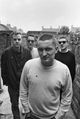 the housemartins image