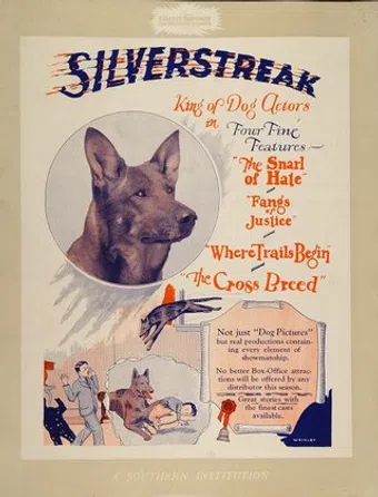 silver streak image