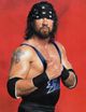 sean waltman image