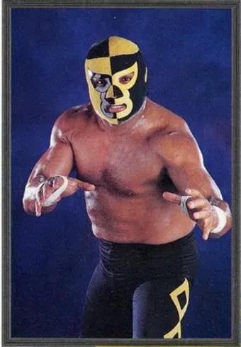 pierroth jr. image