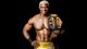 shelton benjamin image