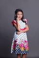 lyca gairanod image