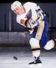 brett hull image