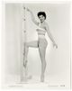 lisa gaye image