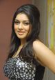 hansika motwani image