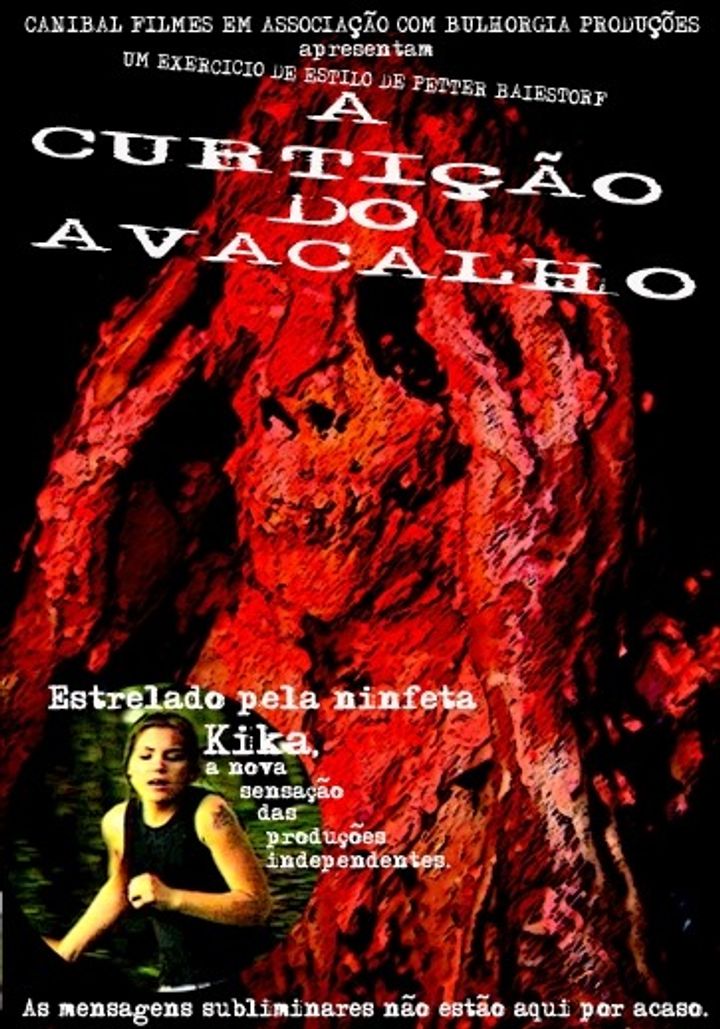 A Curtição Do Avacalho (2006) Poster