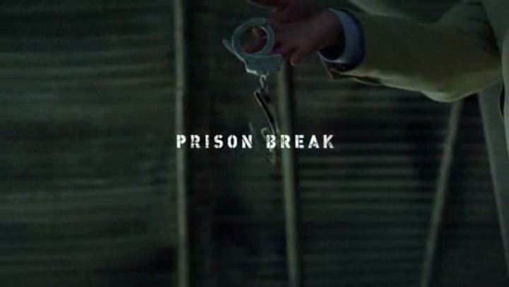 Prison Break: Proof Of Innocence (2006) Poster