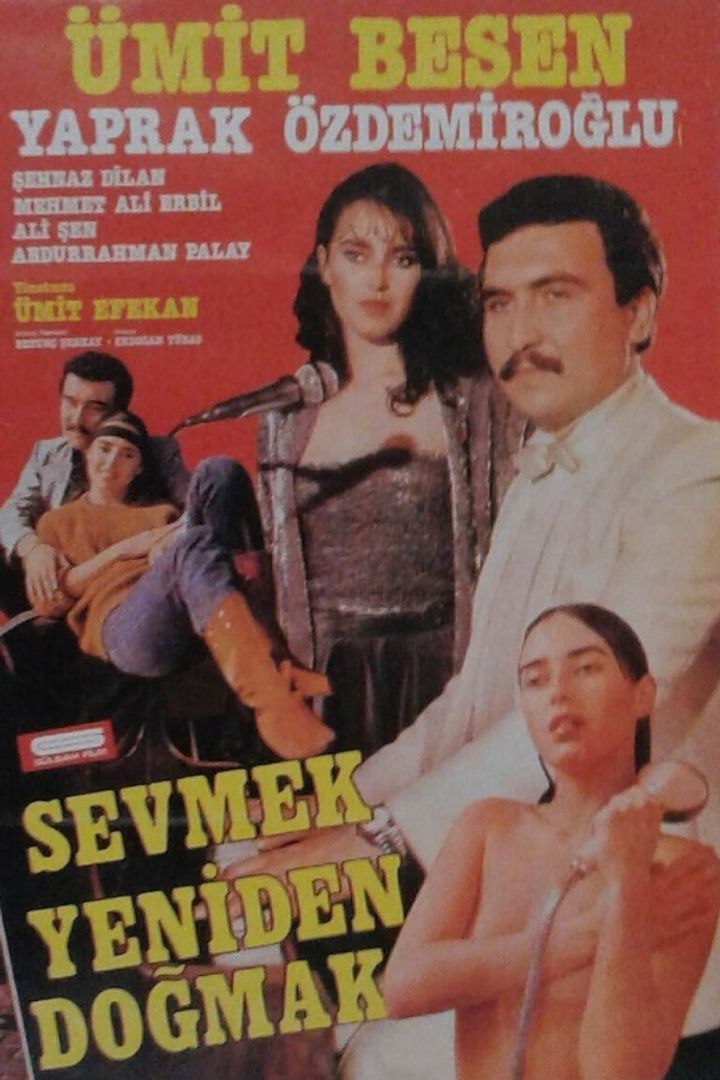 Sevmek Yeniden Dogmak (1984) Poster