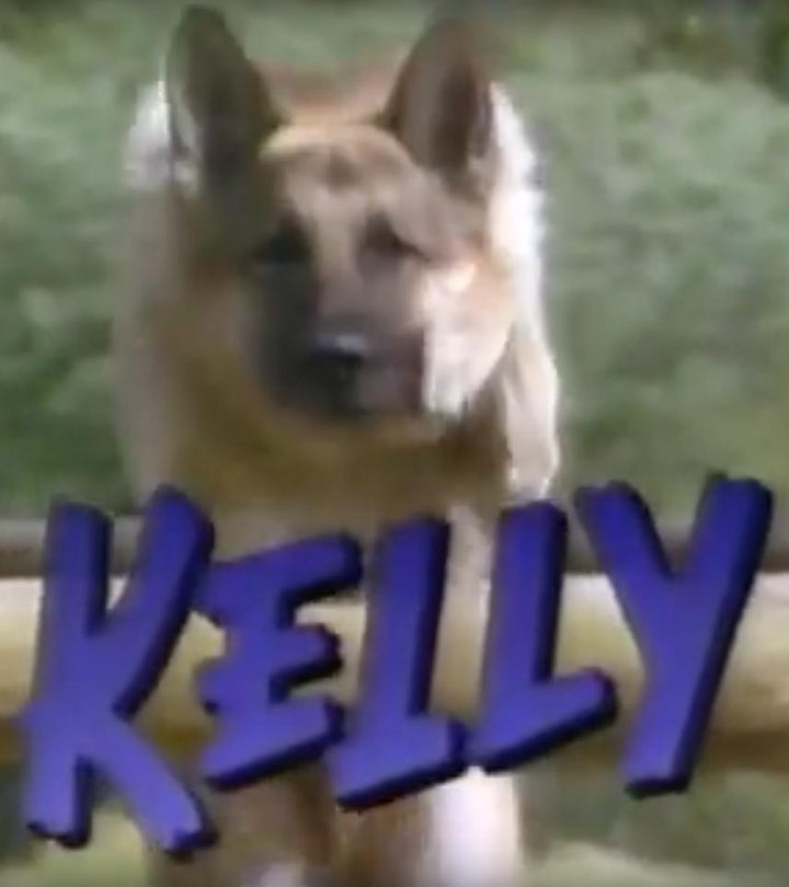 Kelly (1991) Poster