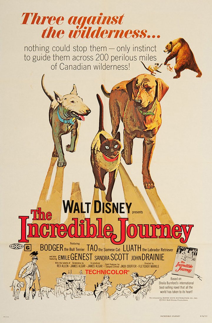 The Incredible Journey (1963) Poster