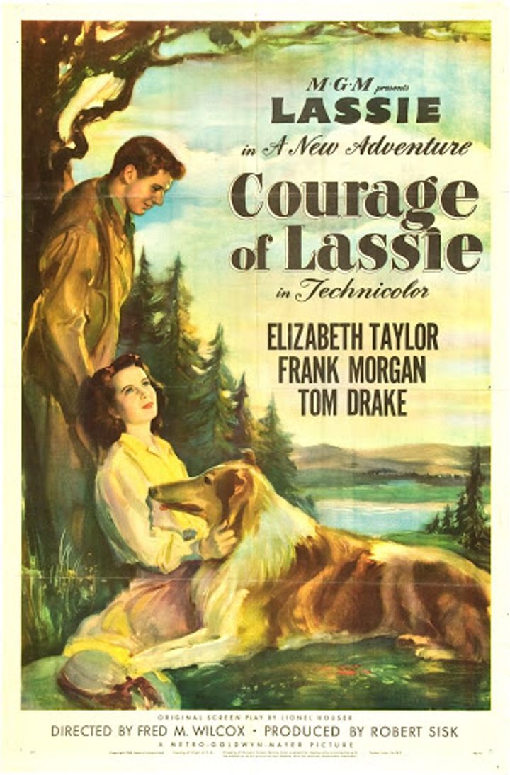 Courage Of Lassie (1946) Poster