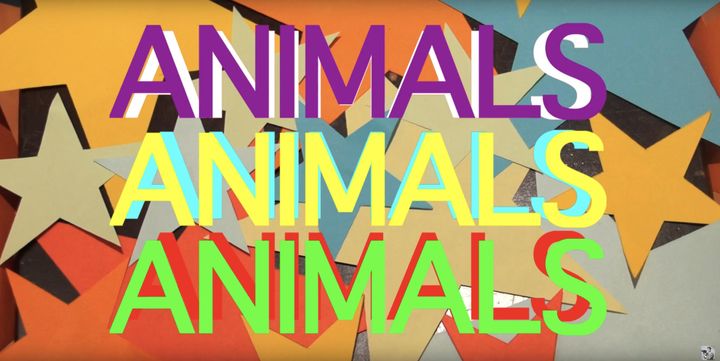 Animals, Animals, Animals (2018) Poster