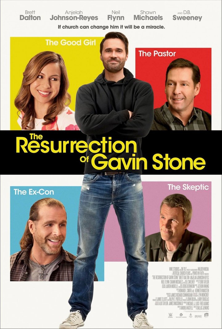 The Resurrection Of Gavin Stone (2017) Poster