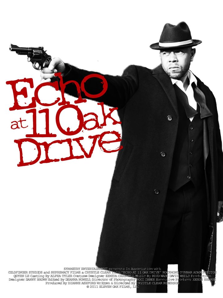 Echo At 11 Oak Drive (2012) Poster