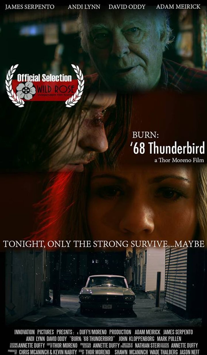 Burn: 68 Thunderbird (2016) Poster