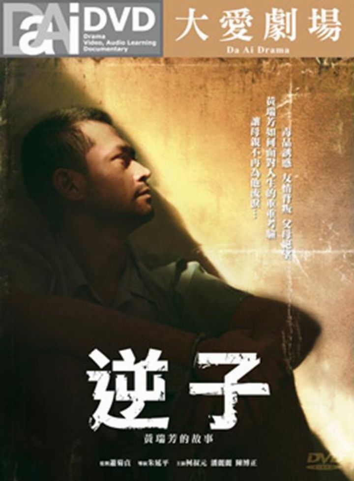 The Addict (2011) Poster