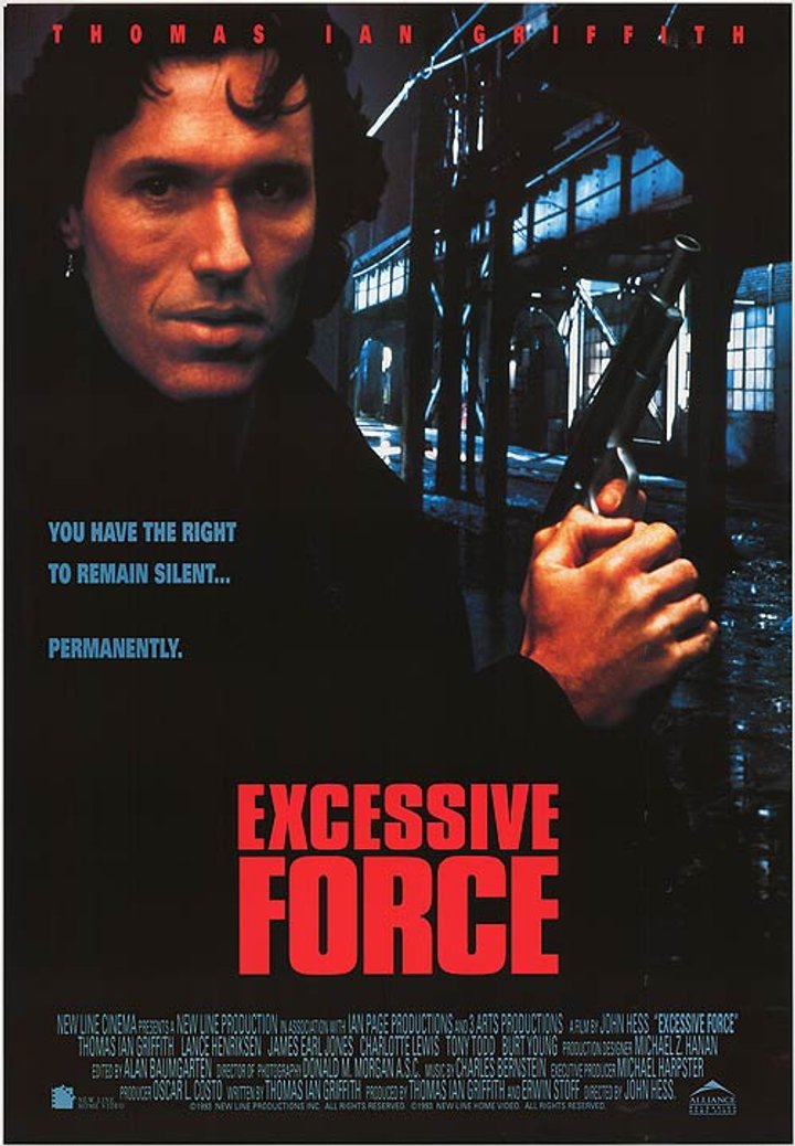 Excessive Force (1993) Poster