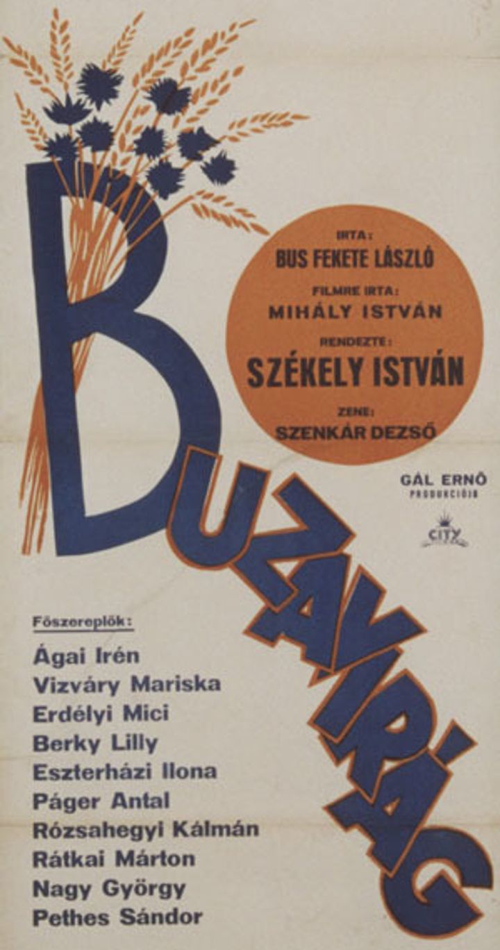 Búzavirág (1934) Poster