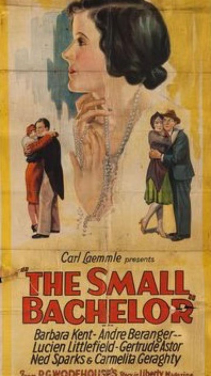 The Small Bachelor (1927) Poster