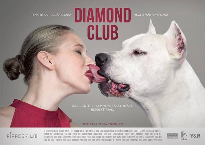 Diamond Club (2011) Poster