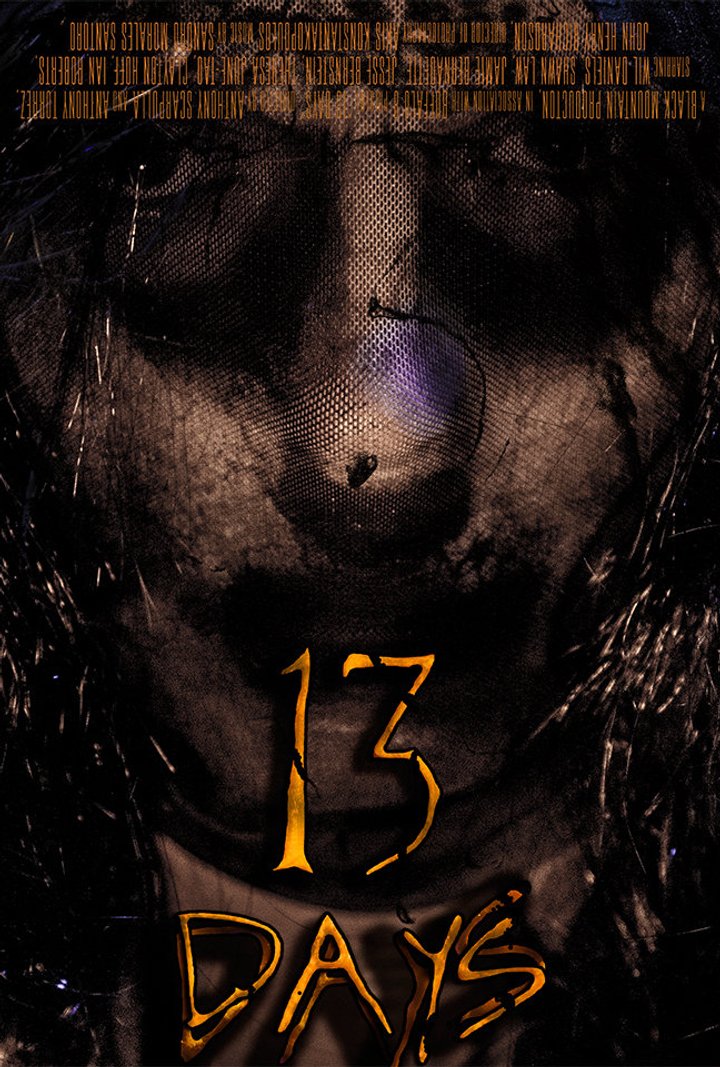 13 Days (2016) Poster