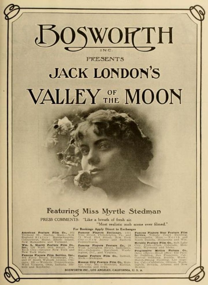 The Valley Of The Moon (1914) Poster