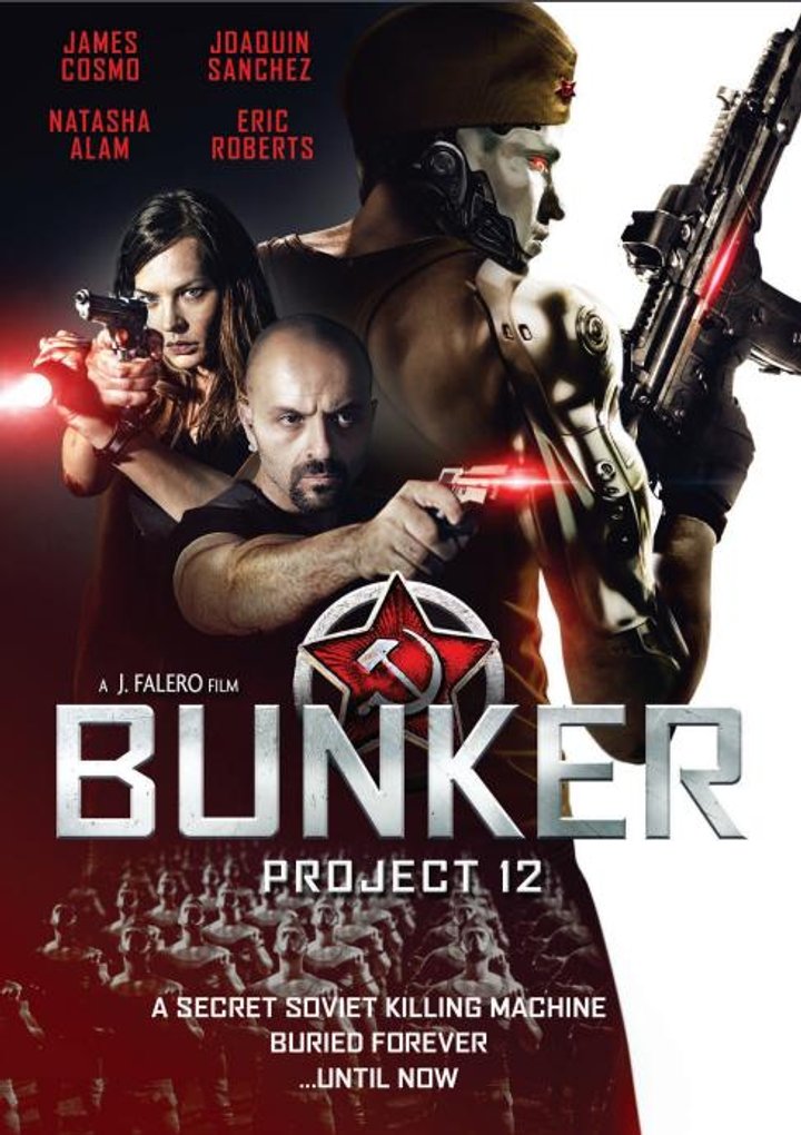 Project 12: The Bunker (2016) Poster