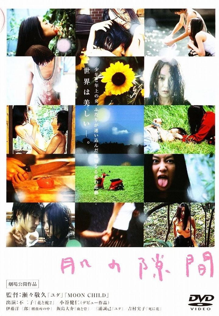 Hada No Sukima (2004) Poster