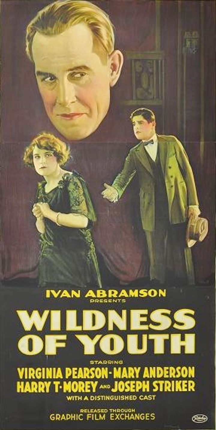 Wildness Of Youth (1922) Poster