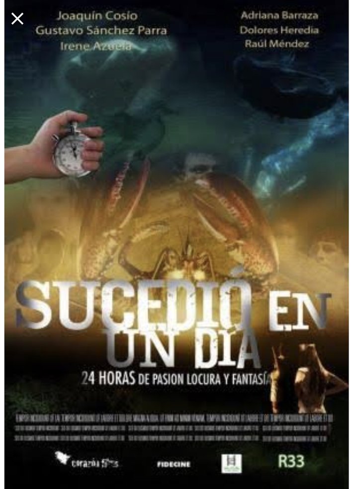 Sucedió En Un Día (2010) Poster