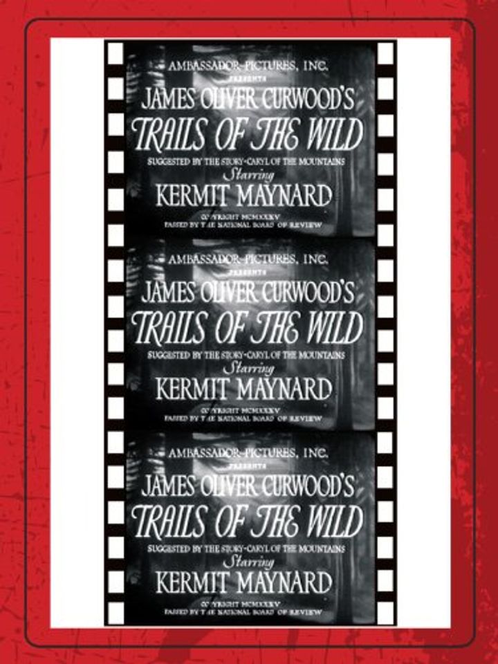 Trails Of The Wild (1935) Poster