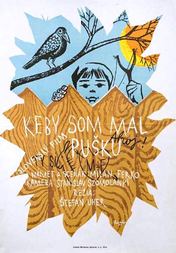 Keby Som Mal Pusku (1971) Poster