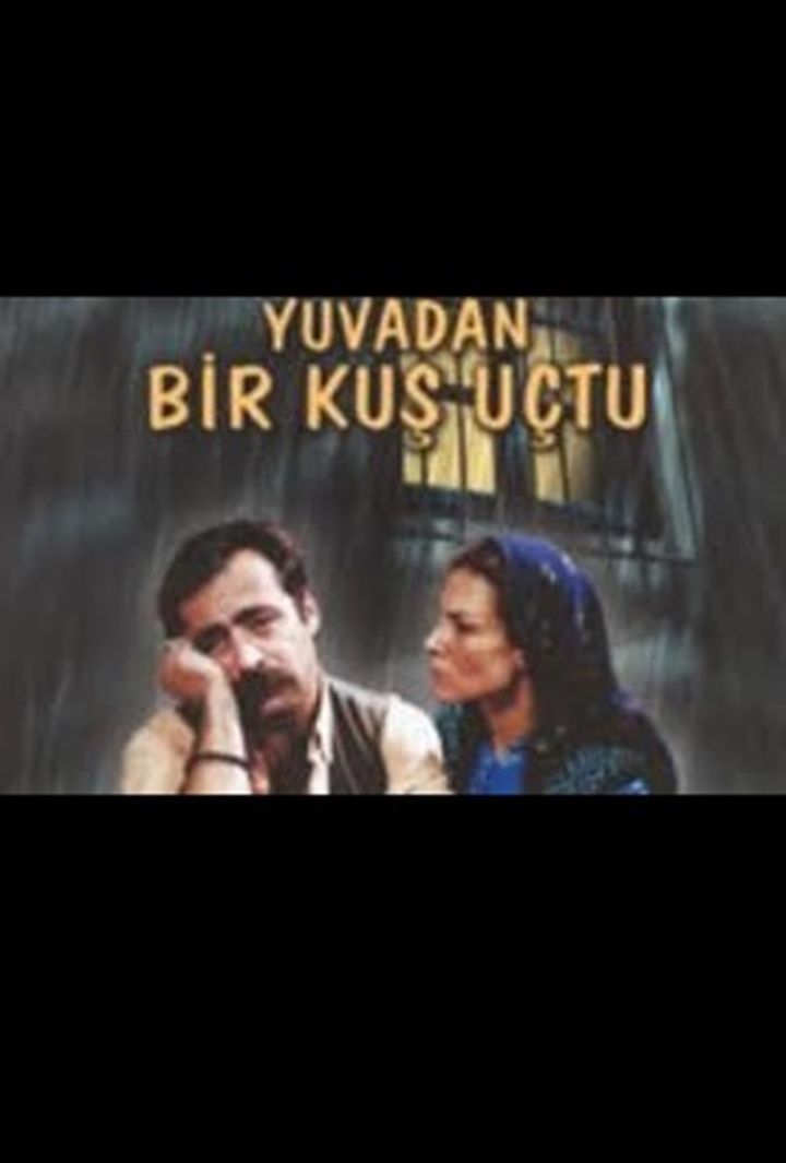 Yuvadan Bir Kus Uçtu (2003) Poster