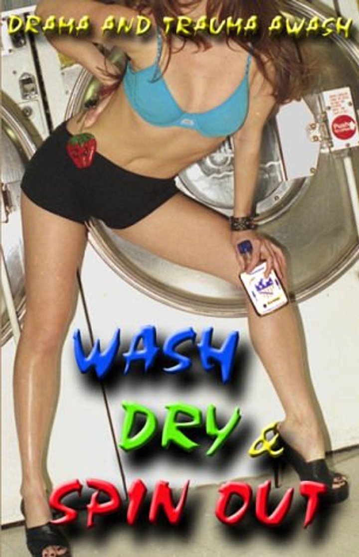 Wash Dry And Spin Out (2003) Poster