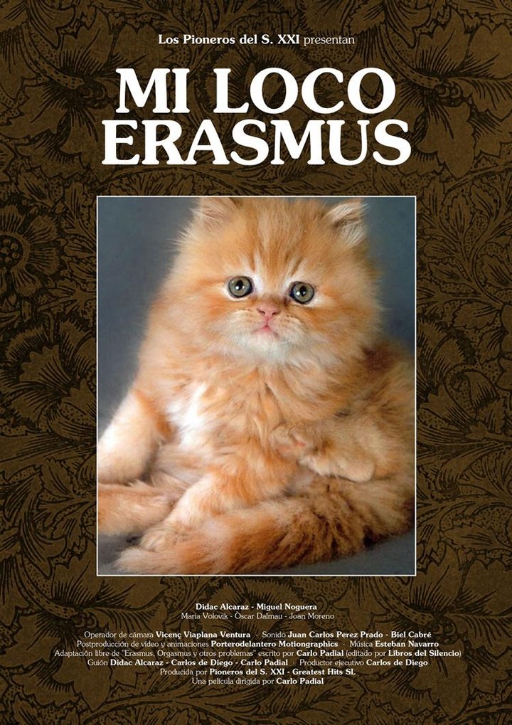 Mi Loco Erasmus (2012) Poster