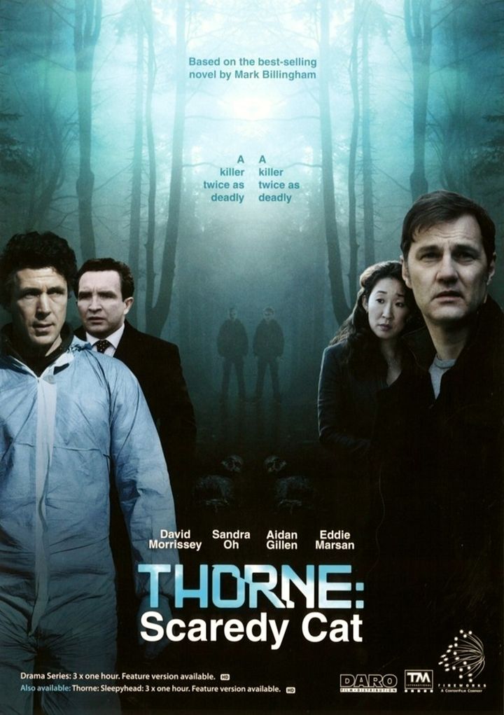 Thorne: Scaredycat (2010) Poster