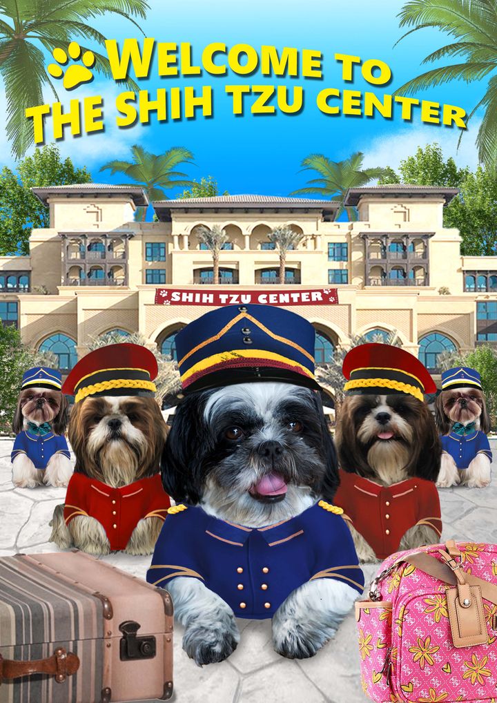 Welcome To The Shih Tzu Center Poster