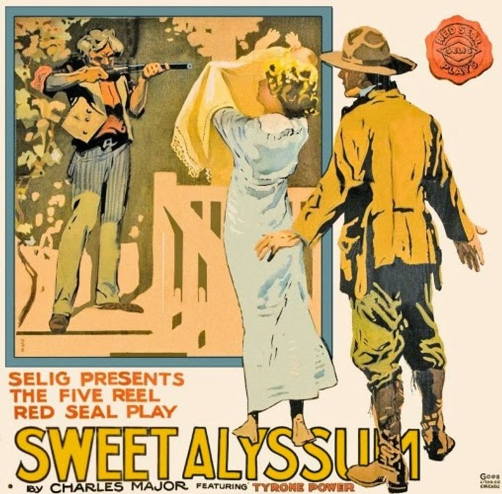 Sweet Alyssum (1915) Poster