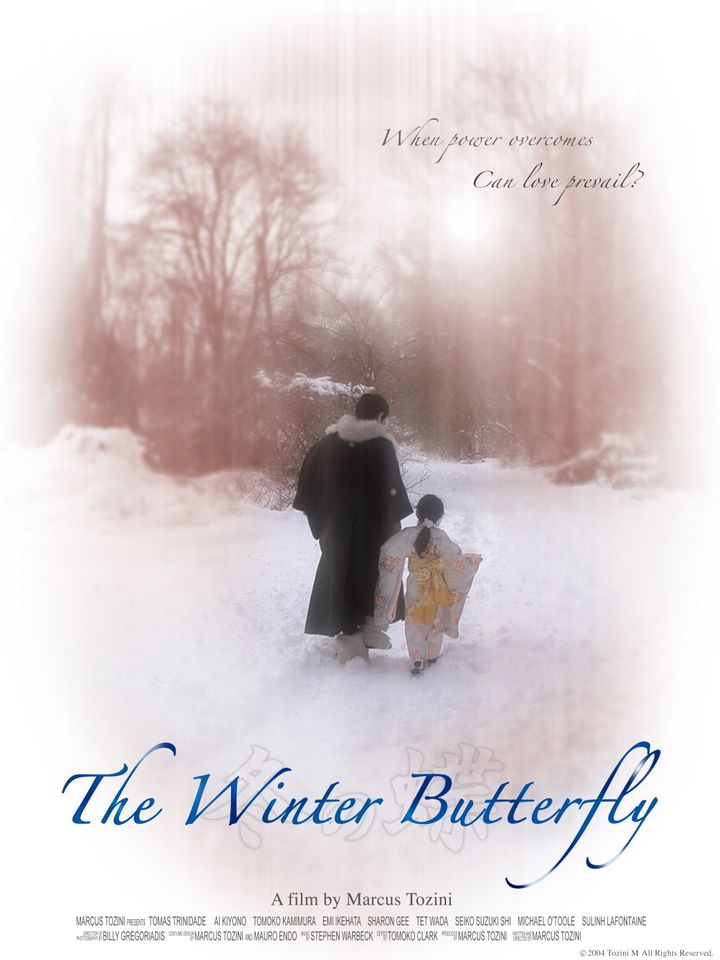 The Winter Butterfly (2010) Poster