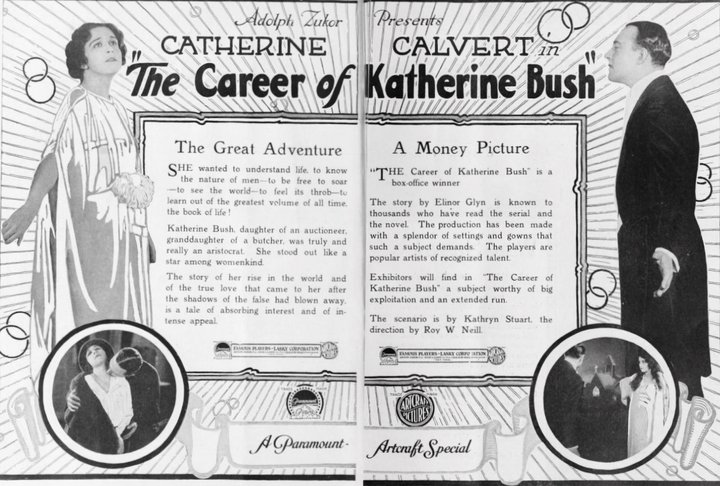 The Career Of Katherine Bush (1919) Poster