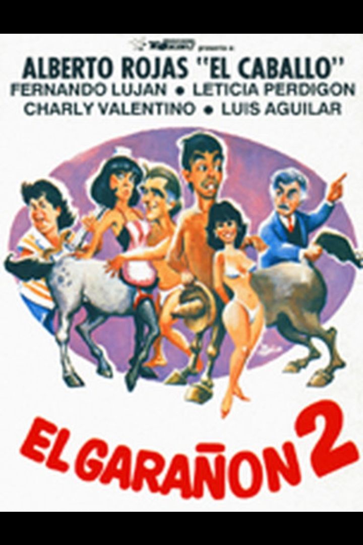 El Garañón 2 (1990) Poster