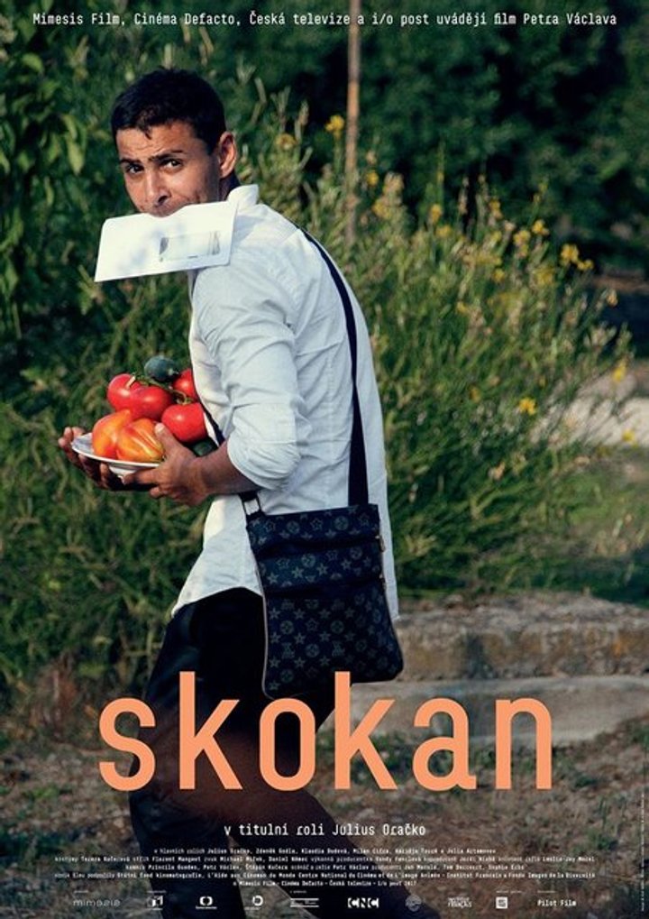 Skokan (2017) Poster