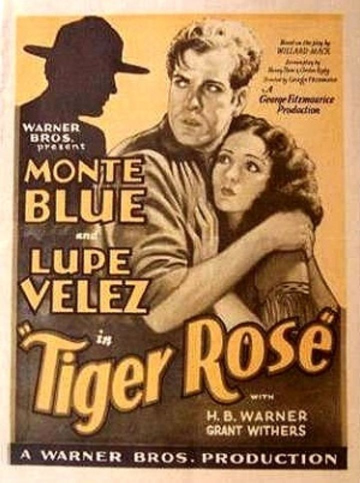 Tiger Rose (1929) Poster