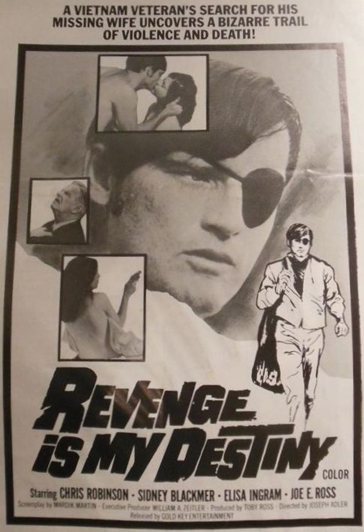 Revenge Is My Destiny (1971) Poster