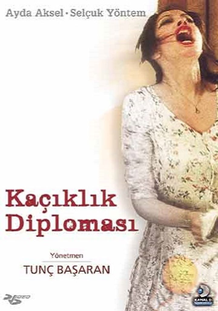 Kaçiklik Diplomasi (1998) Poster