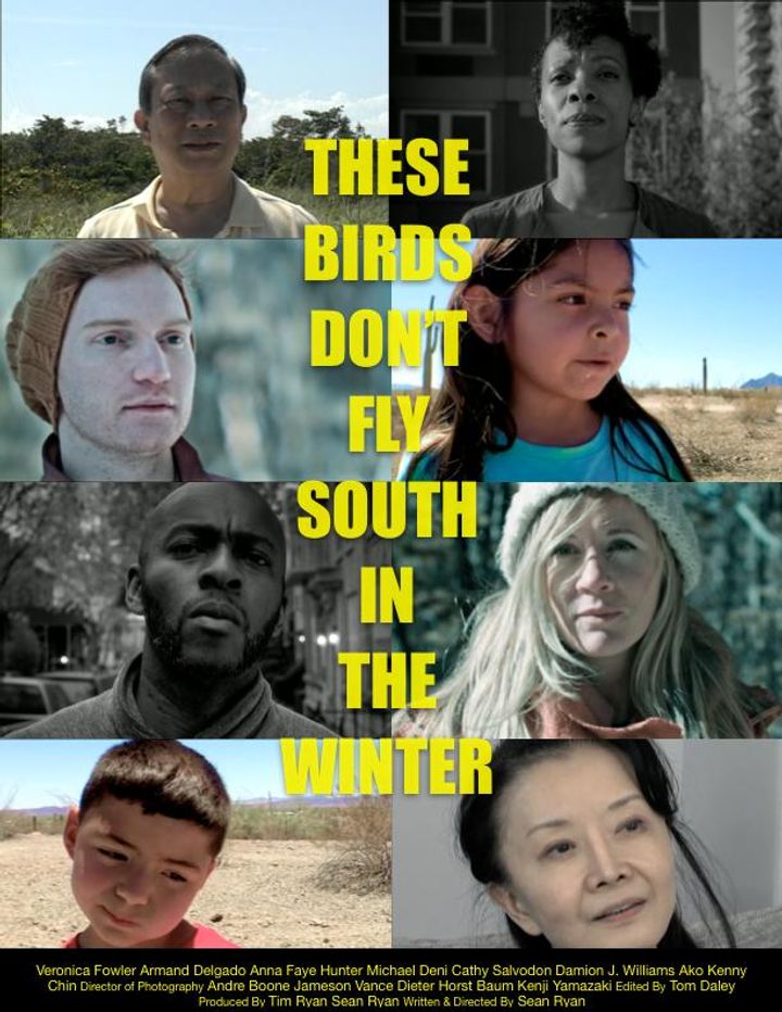 These Birds Don't Fly South In The Winter (2019) Poster