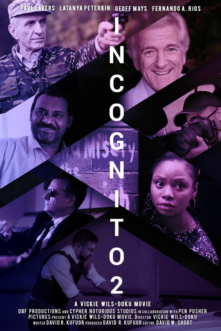 Incognito (ii) (2015) Poster