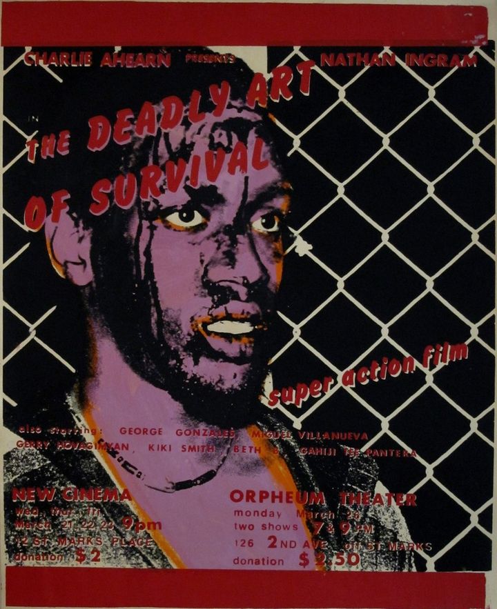 The Deadly Art Of Survival (1979) Poster